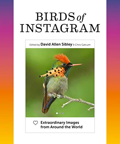 Birds of Instagram: Extraordinary Images from Around the World - Hardcover Adult Non-Fiction Ndah Mbawa @ Happier Every Chapter   