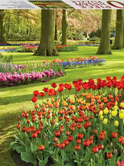 Keukenhof Gardens 1000 Piece Jigsaw - Mindbogglers Series 2