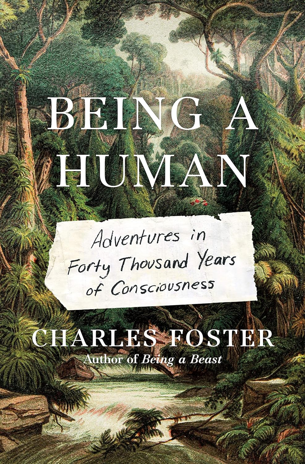 Being a Human: Adventures in Forty Thousand Years of Consciousness Hardcover