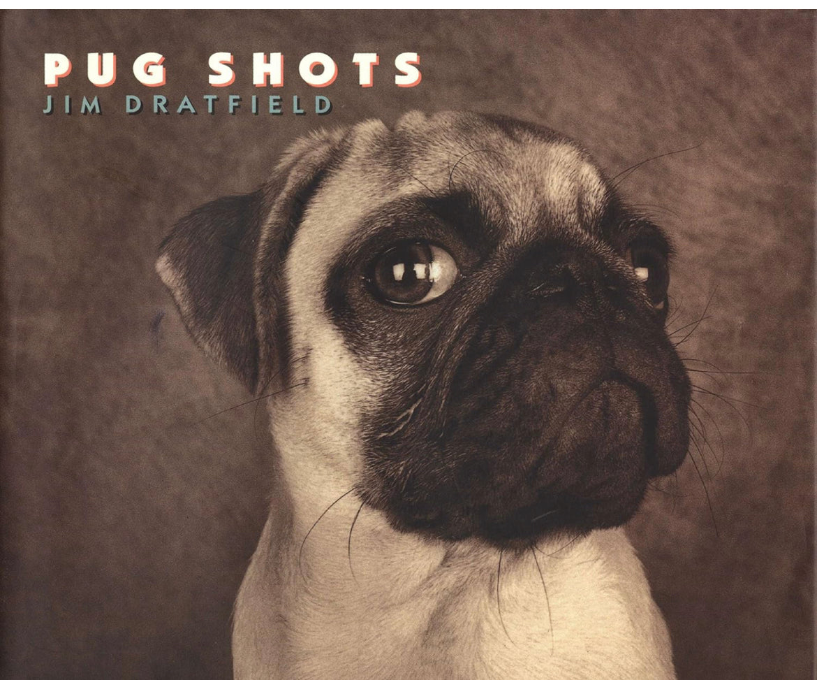 Pug Shots