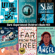 Load image into Gallery viewer, Seen, Heard &amp; Belonging Book Bundle | Children in Care &amp; Care-Experienced Children’s Books | EYFS–KS3 | Inclusive Children’s Books for EYFS to KS3

