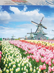 HINKLER - 1000 Piece Puzzle Dutch Windmills