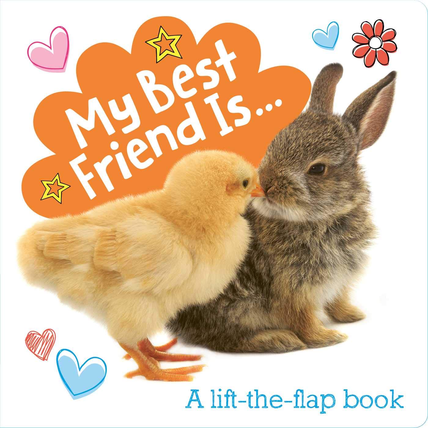 My Best Friend Is...: A Lift-the-Flap Book (Lovey Dovey) (Board Books)