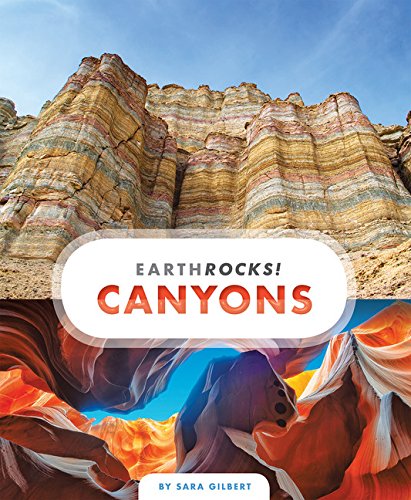 Canyons (Earth Rocks!) (Softcover) Children's Books Happier Every Chapter   