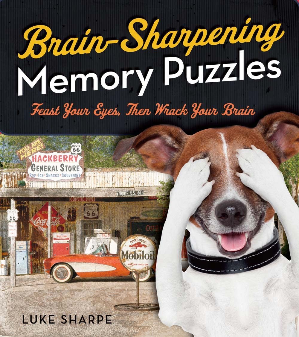 Brain-Sharpening Memory Puzzles: Test Your Recall with 80 Photo Games (Softcover)