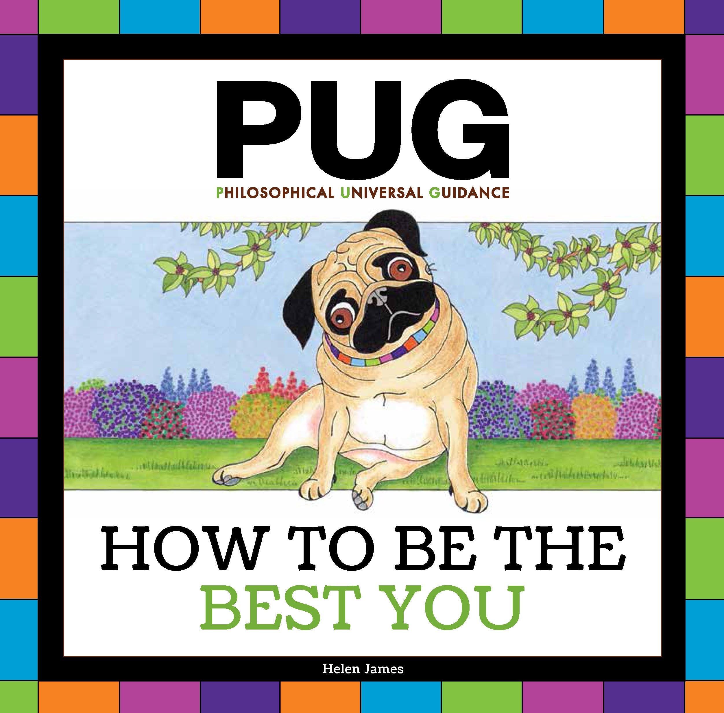 Pug: How to be the Best You (Hardcover)
