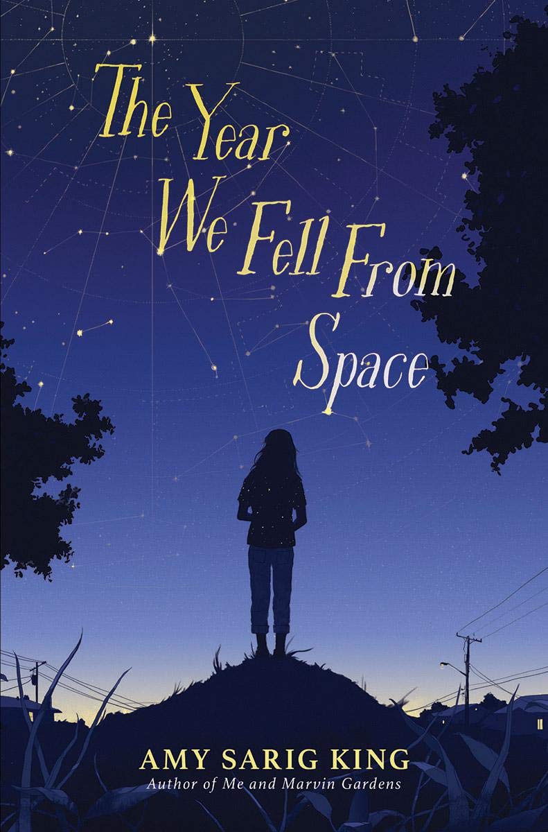 The Year We Fell From Space (Hardcover)