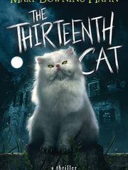 The Thirteenth Cat (Hardcover)