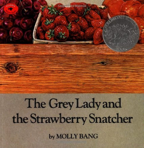 The Grey Lady And The Strawberry Snatcher (Softcover) Children's Books Happier Every Chapter   