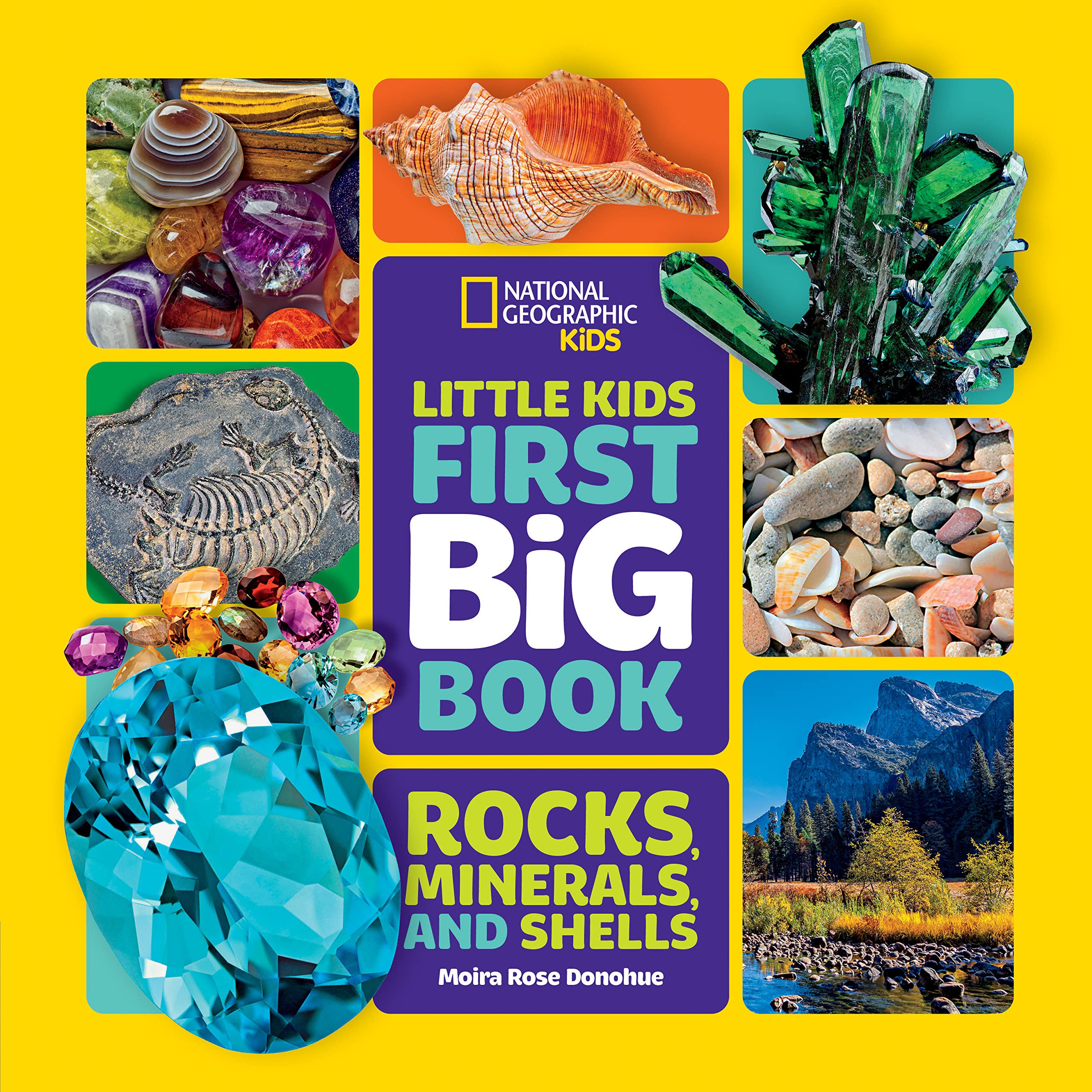 Little Kids First Big Book of Rocks, Minerals & Shells (First Big Books, National Geographic Kids) (Hardcover)