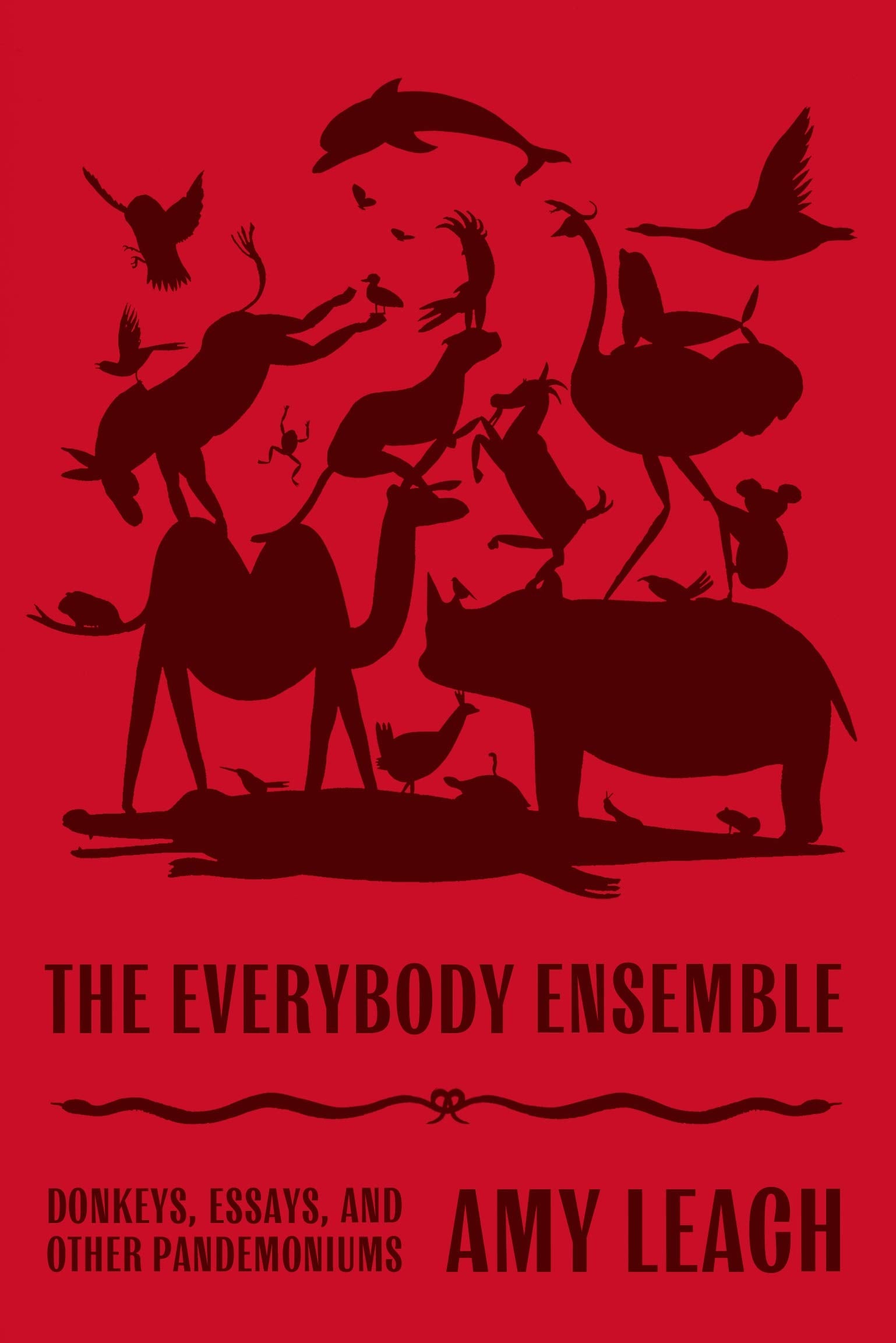 The Everybody Ensemble: Donkeys, Essays, and Other Pandemoniums (Hardcover)