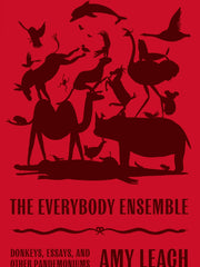 The Everybody Ensemble: Donkeys, Essays, and Other Pandemoniums (Hardcover)
