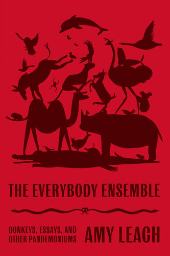 The Everybody Ensemble: Donkeys, Essays, and Other Pandemoniums (Hardcover) Adult Non-Fiction Happier Every Chapter   