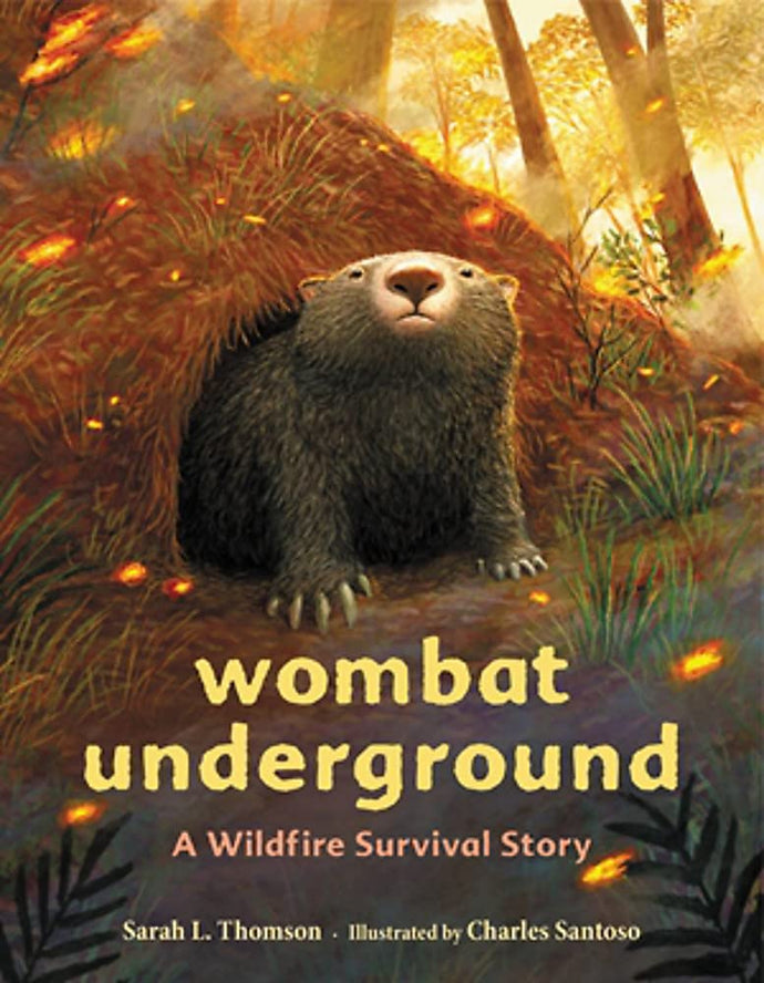 Wombat Underground: A Wildfire Survival Story Children's Books Happier Every Chapter   