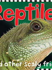Reptiles And Amphibians