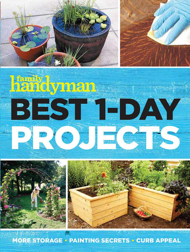 Best 1-Day Projects (Paperback) Adult Non-Fiction Happier Every Chapter   