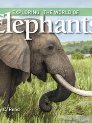 Exploring the World of Elephants (Hardcover)