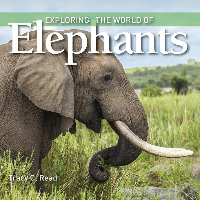 Exploring the World of Elephants (Hardcover) Children's Books Happier Every Chapter   