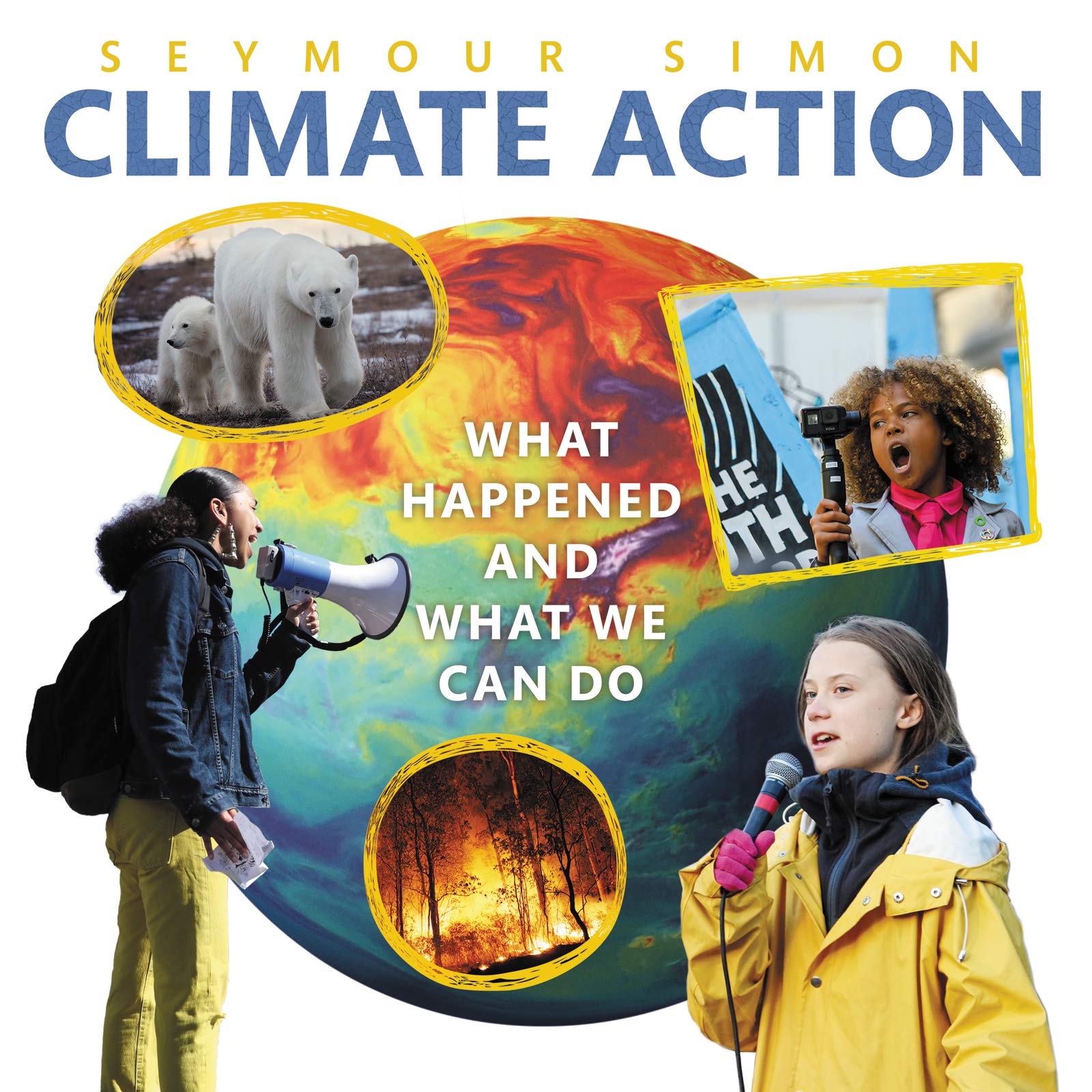 Climate Action: What Happened and What We Can Do (Hardcover)