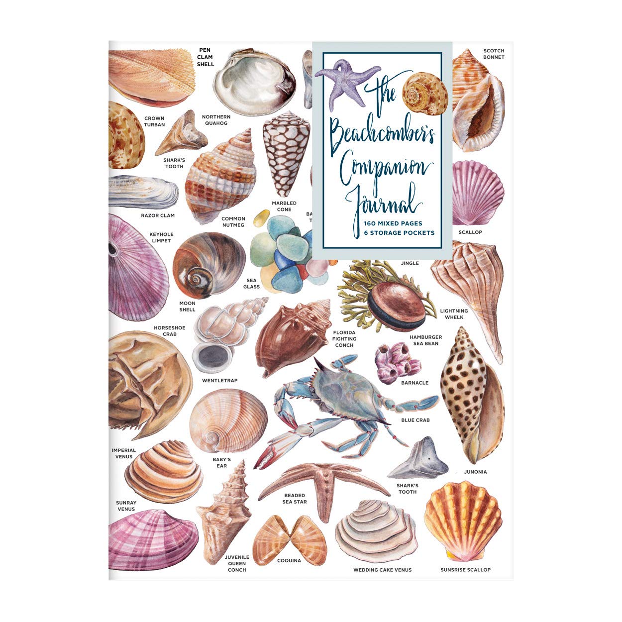 The Beachcomber's Companion PVC Multi-Pocket Cover Journal (Vinyl-bound)