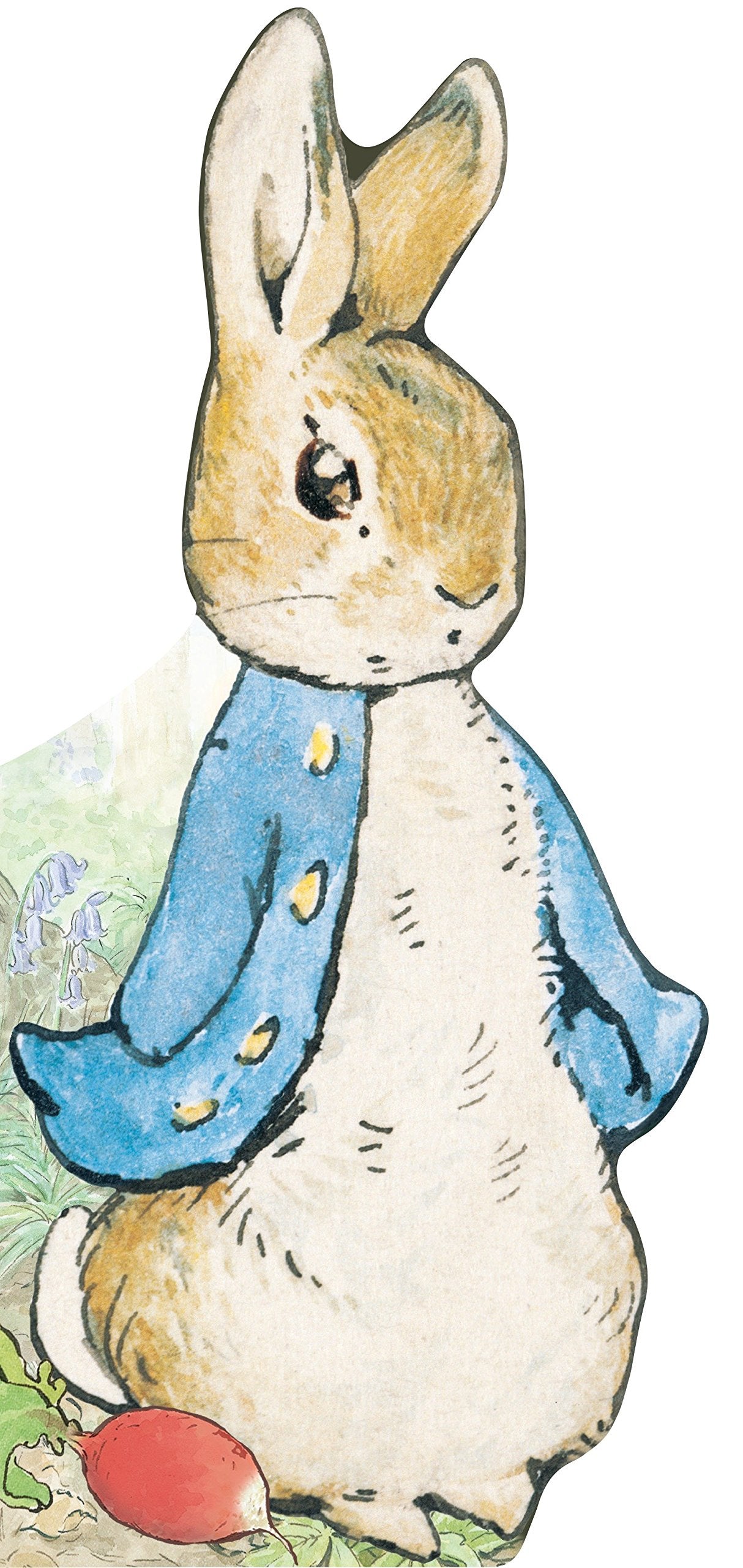 All About Peter (Board Books)