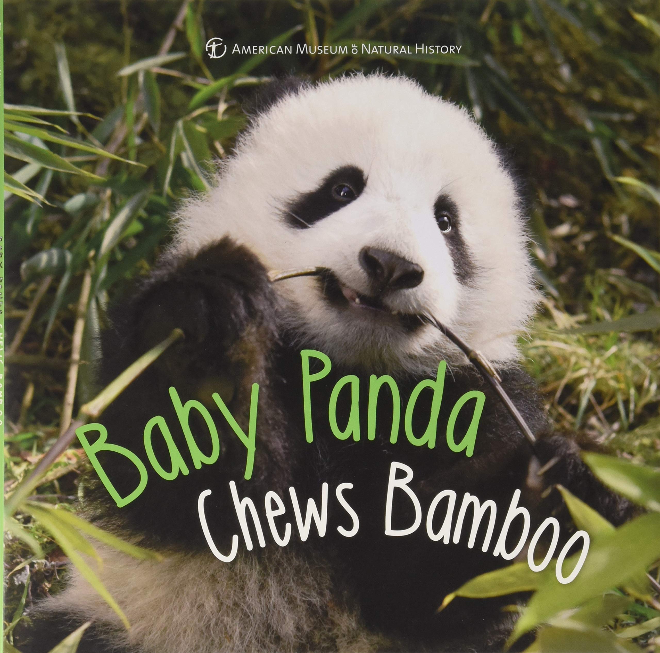 Baby Panda Chews Bamboo (First Discoveries) (Hardcover)