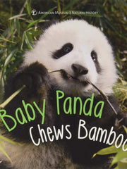 Baby Panda Chews Bamboo (First Discoveries) (Hardcover)