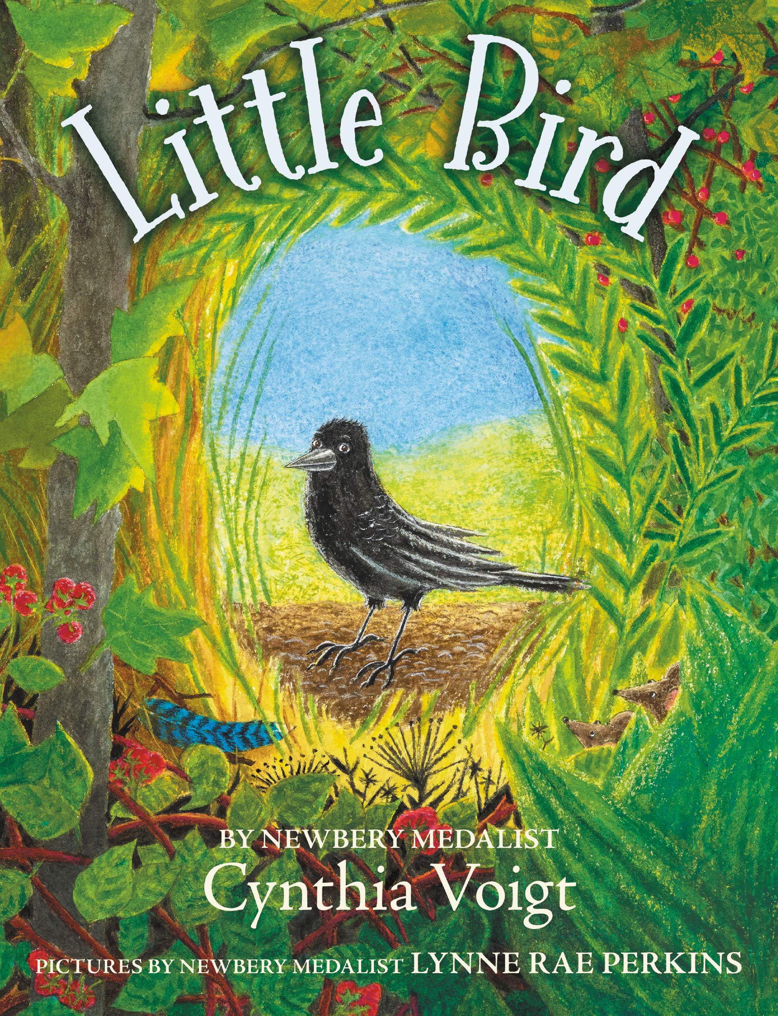 Little Bird (Hardcover)