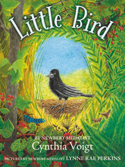 Little Bird (Hardcover)