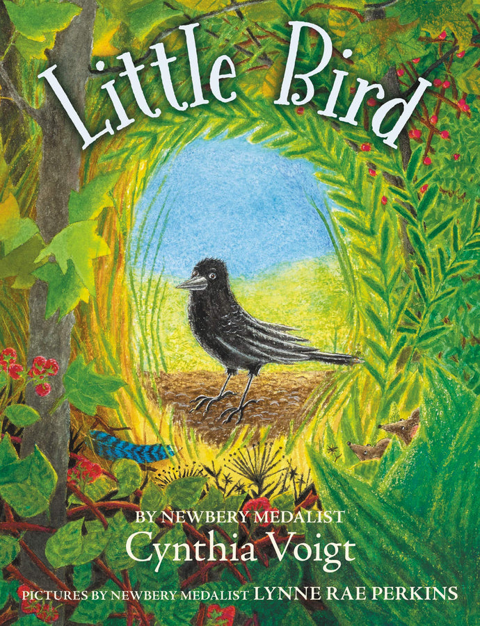 Little Bird (Hardcover) Children's Books Happier Every Chapter   