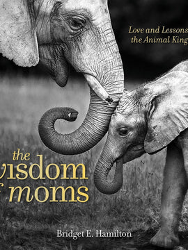 The Wisdom of Moms: Love and Lessons From the Animal Kingdom (Hardcover)