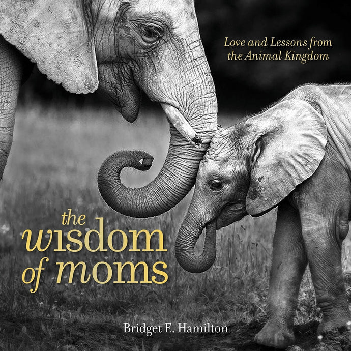 The Wisdom of Moms: Love and Lessons From the Animal Kingdom (Hardcover) Adult Non-Fiction Happier Every Chapter   