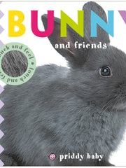 Bunny and Friends  (Baby Touch and Feel)