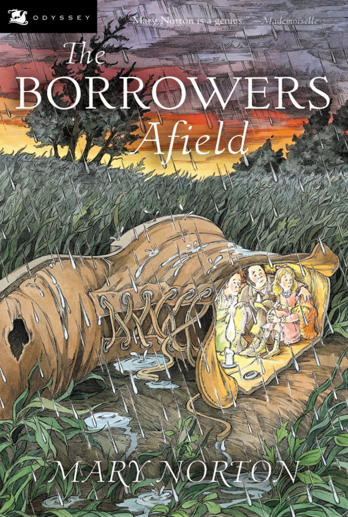 The Borrowers Afield Children's Books Happier Every Chapter   