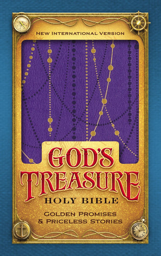 NIV God's Treasure Holy Bible (Amethyst Leathersoft) (Imitation Leather) Adult Non-Fiction Happier Every Chapter   