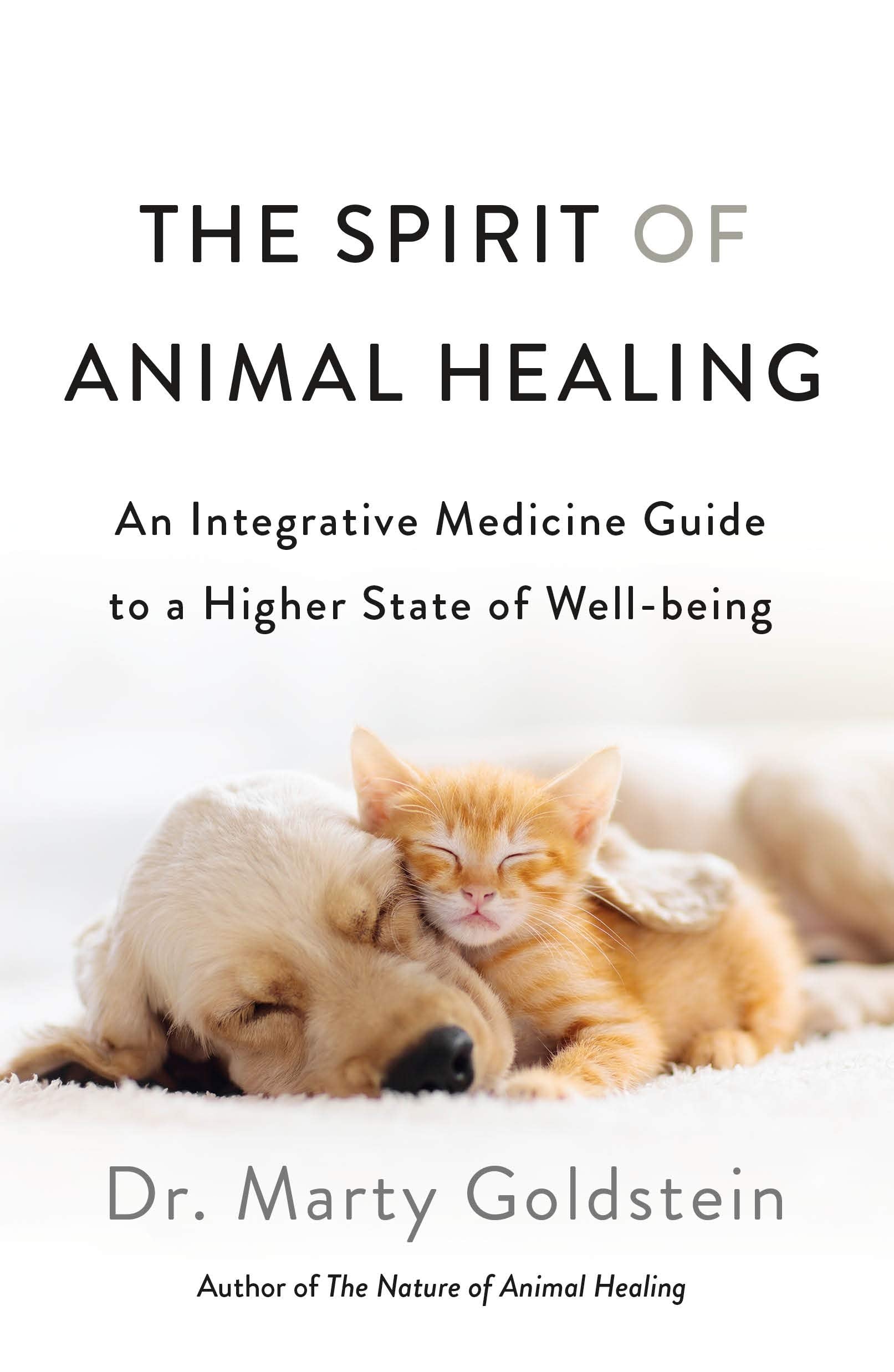 The Spirit of Animal Healing: An Integrative Medicine Guide to a Higher State of Well-Being (Paperback)