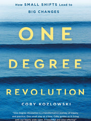 One Degree Revolution (Paperback)