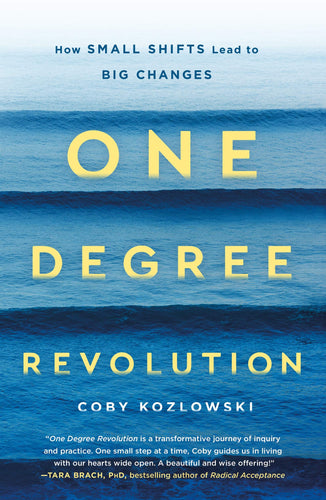One Degree Revolution (Paperback) Adult Non-Fiction Happier Every Chapter   