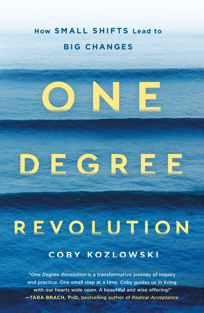 One Degree Revolution (Paperback) Adult Non-Fiction Happier Every Chapter   