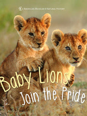 Baby Lions Join the Pride (First Discoveries) (Hardcover)