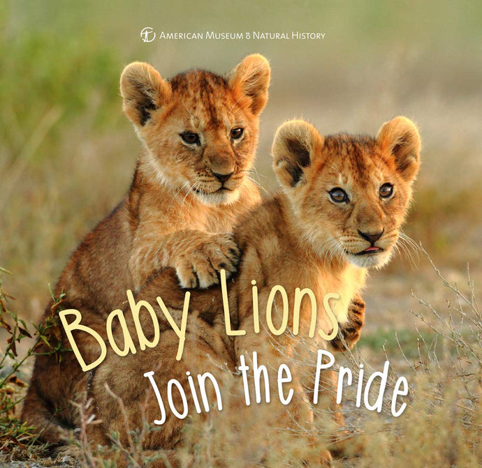 Baby Lions Join the Pride (First Discoveries) (Hardcover) Children's Books Happier Every Chapter   
