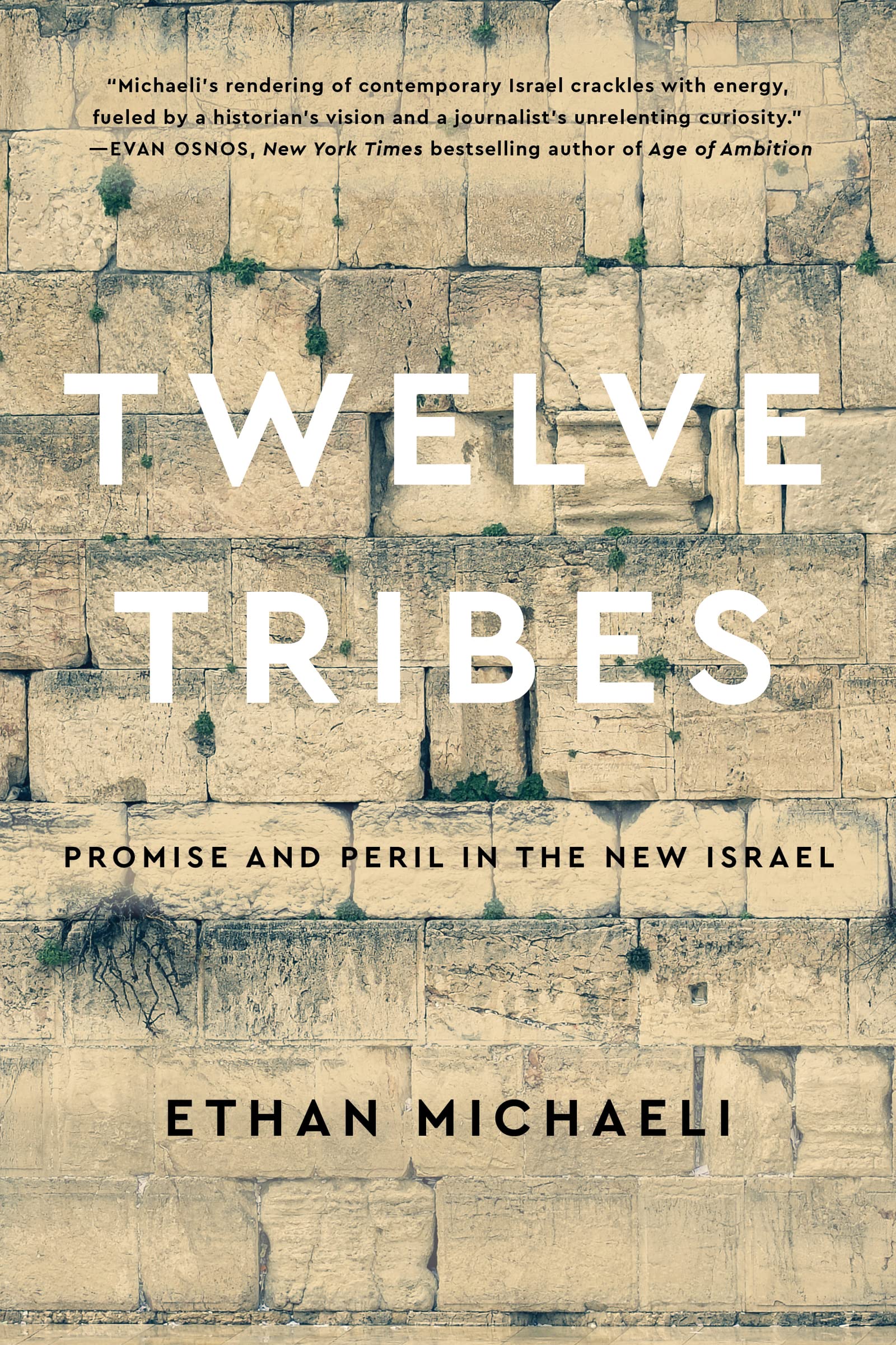 Twelve Tribes: Promise and Peril in the New Israel (Hardcover)