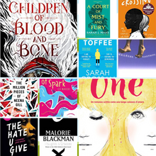 Load image into Gallery viewer, Beauty of Diversity Bundle Diverse Books Happier Every Chapter 10 KS3 (11-14yrs) 
